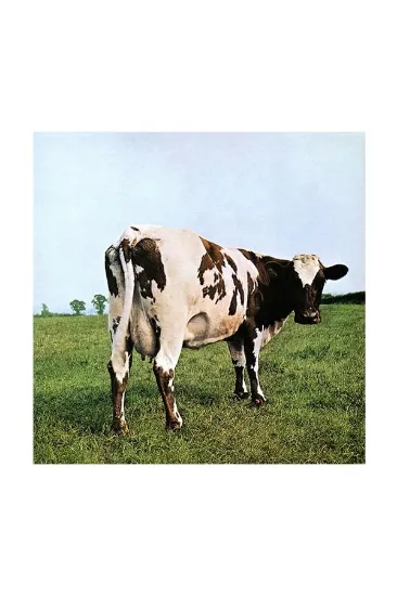 Pink Floyd – Atom Heart Mother תקליט