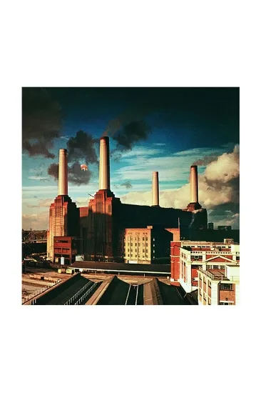Pink Floyd – Animals תקליט  