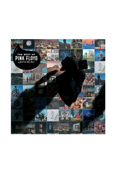 Pink Floyd  - Pink Floyd The Best Of Pink Floyd A Foot In The Door תקליט 